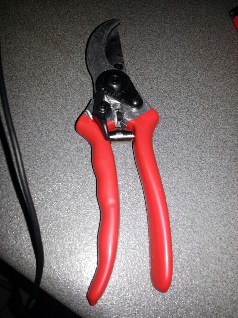 wp-1403866874345.jpg image