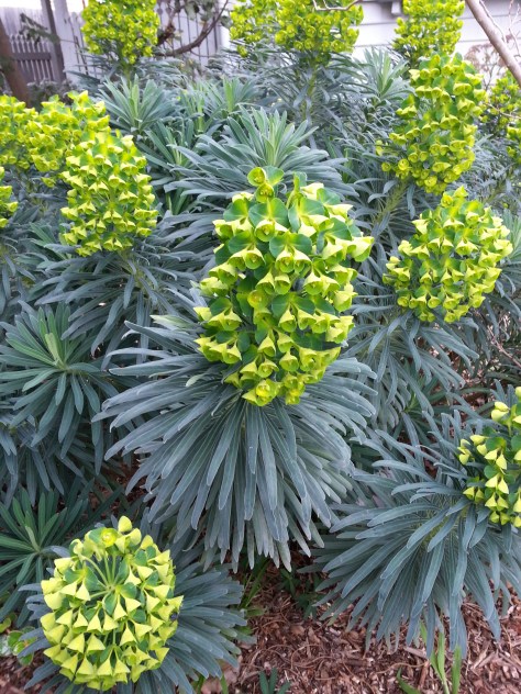 Hey Mum, what's this?