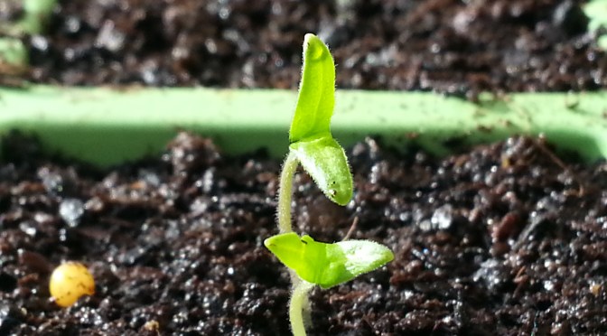 The Difference of a Day