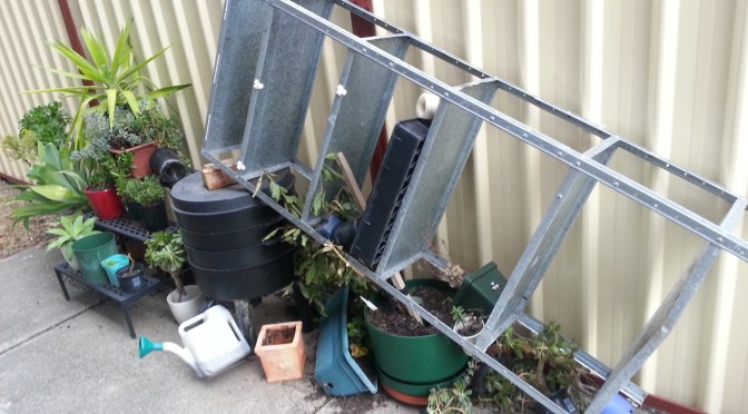 DISASTER! Well a Minor Tradgedy!