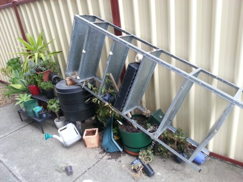 Wild winds claimed a victim (or victims) :-(