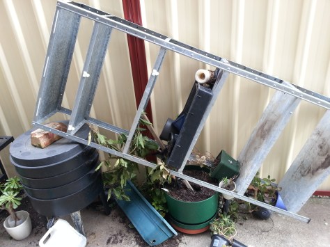 This poor tree was not meant to live