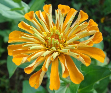 ???????????????????????????????