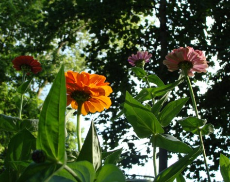 ???????????????????????????????