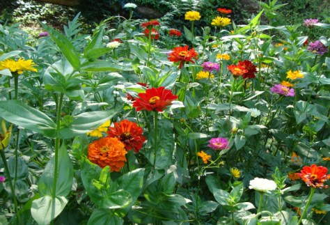 ???????????????????????????????