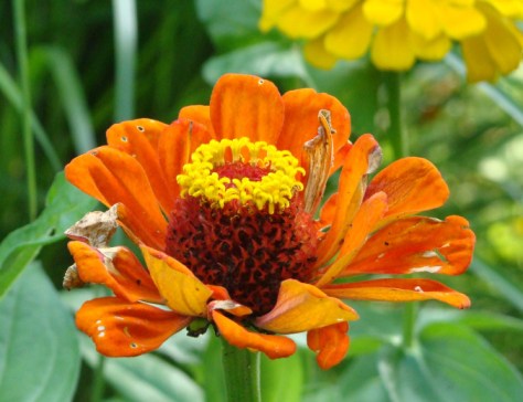 ???????????????????????????????