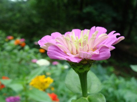 ???????????????????????????????