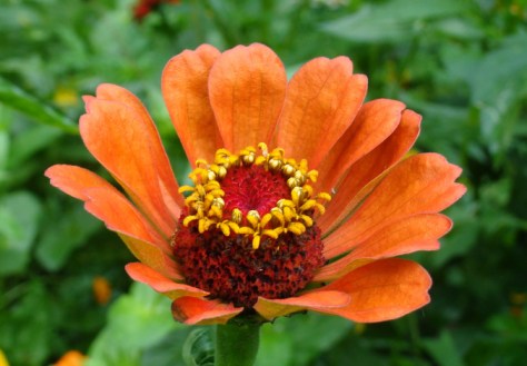 ???????????????????????????????