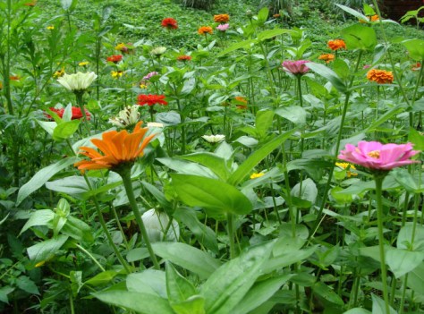 ???????????????????????????????