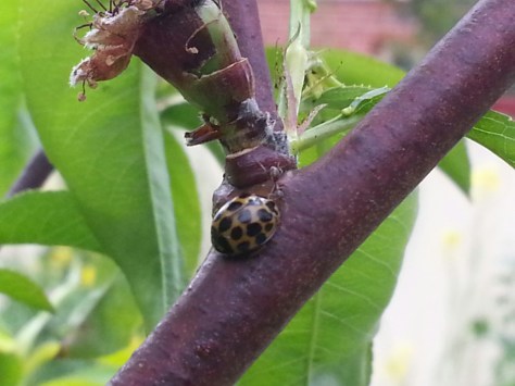 20141001_150431.jpg image