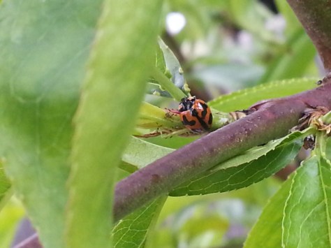 20141001_150758.jpg image